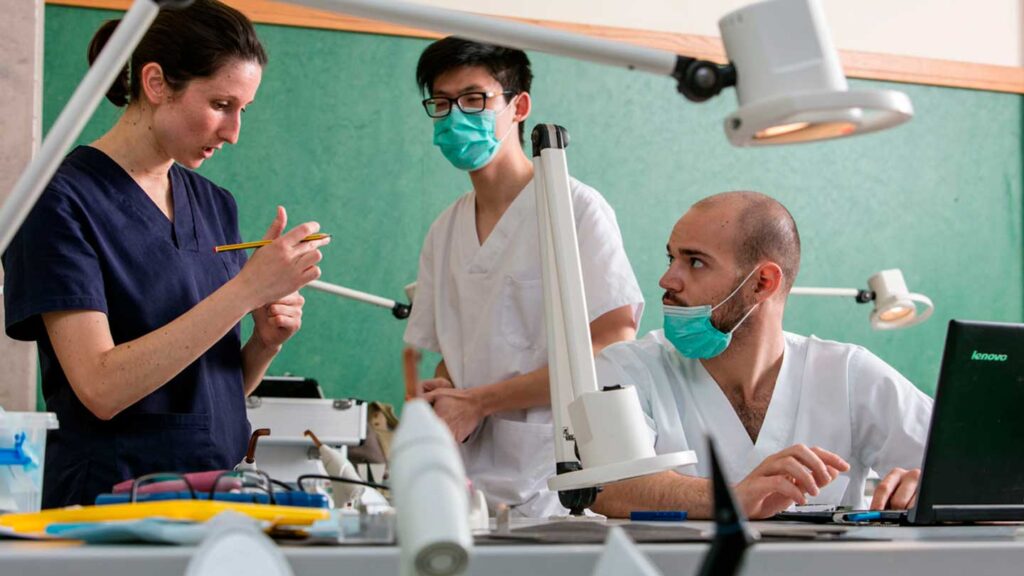Farmacia, Genética o Biotecnología son algunas de las carreras de Ciencias de la Salud