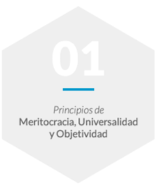 Principios de Meritocracia, Universalidad y Objetividad