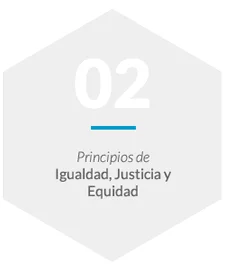 Principios de Igualdad, Justicia y Equidad