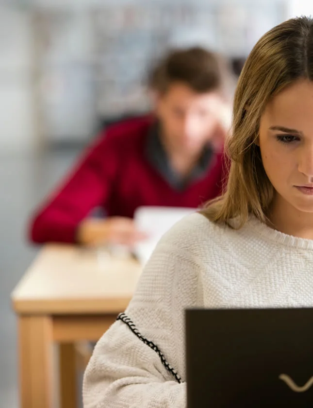 Becas Merit Program